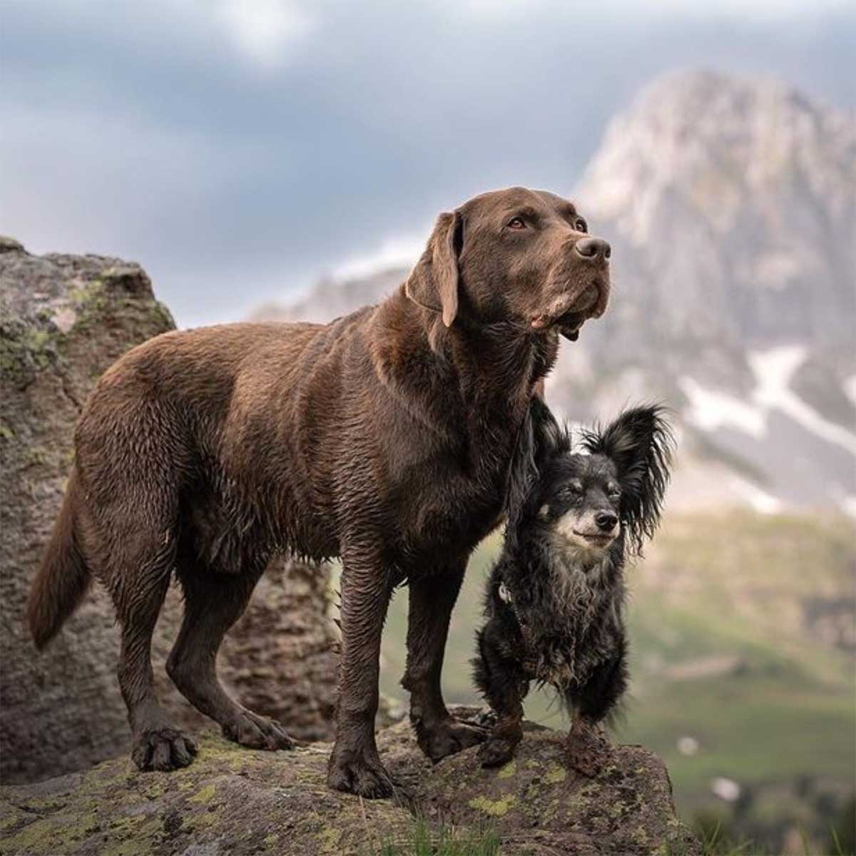 Natalja, Bailey und Jimmy